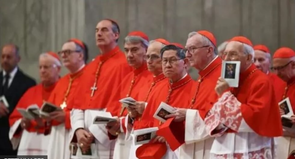 Cónclave | ¿Cuáles son las características de la Iglesia Católica que se enfrentan en el Cónclave (y qué papel jugará la herencia de Francisco) | MUNDO