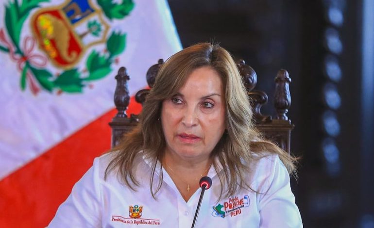 Dina Boluarte: «He vivido la vida en los cuadrados de estos enemigos del país que creen que nos detendrán» | Citación