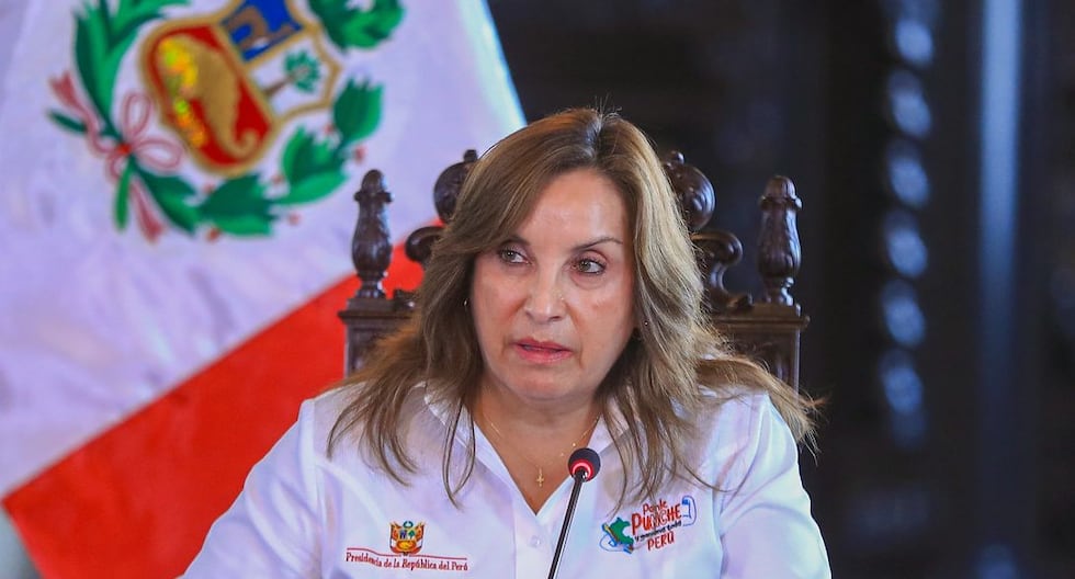 Dina Boluarte: «He vivido la vida en los cuadrados de estos enemigos del país que creen que nos detendrán» | Citación