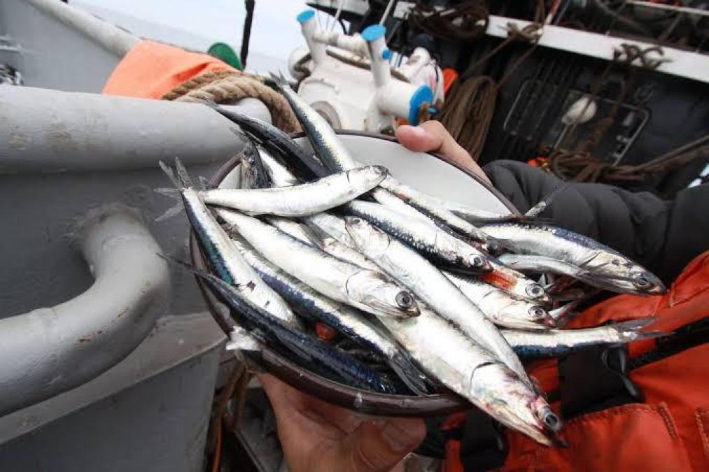 Los precios subieron 0.32% en abril