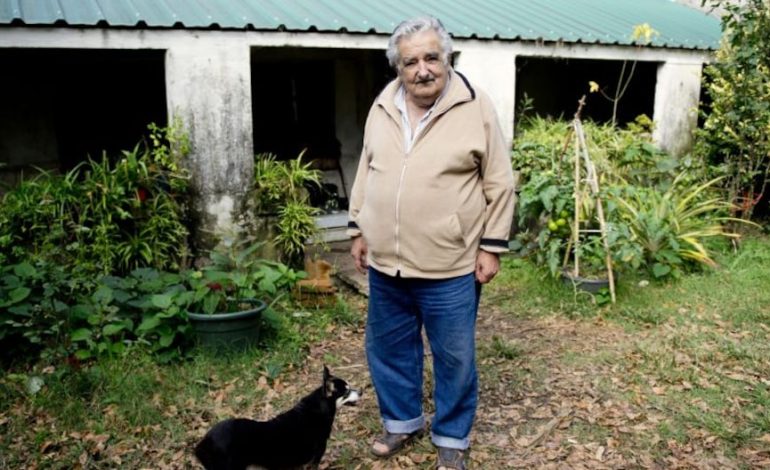José Mujica | En el Chacra de Mujica: la reunión de El Comercio con el «Presidente más pobre del mundo» | MUNDO