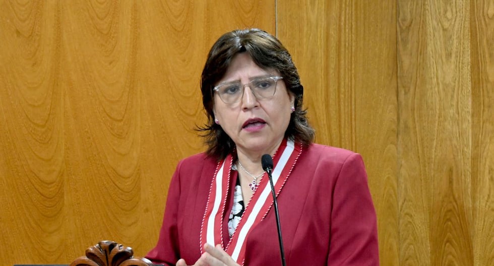 Eliminación del dominio | Ministerio público para cambiar: hay una lucha contra la corrupción, el crimen organizado, el lavado de dinero y los delitos ambientales | Último | Citación