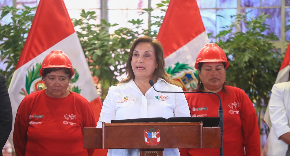 Dina Boluarte: La Oficina del Fiscal presenta una queja constitucional para la liberación de acción y evacuación para la cirugía | Último | Citación
