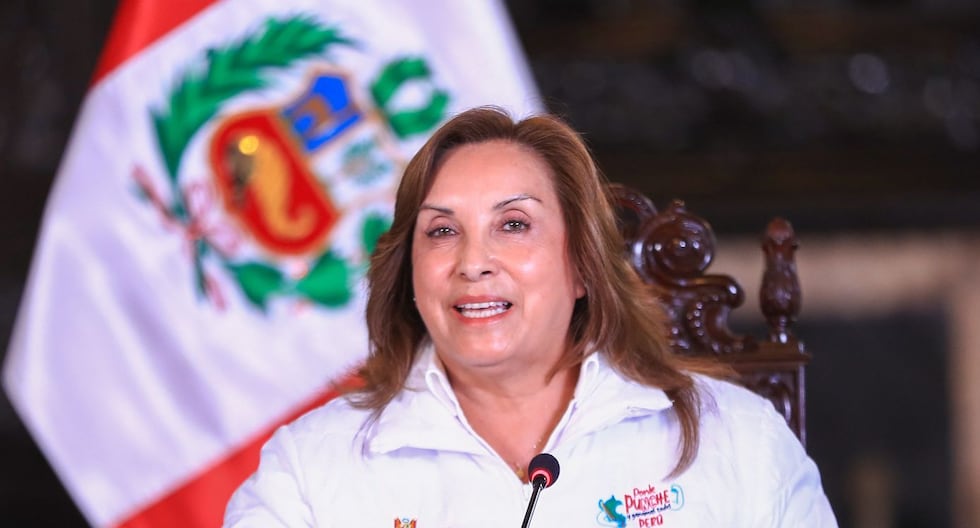 Dina Boluarte Días de apelación sobre el cofre «porque el despido constitucional ya se ha presentado en la Asamblea | Última citación

 – El diario andino