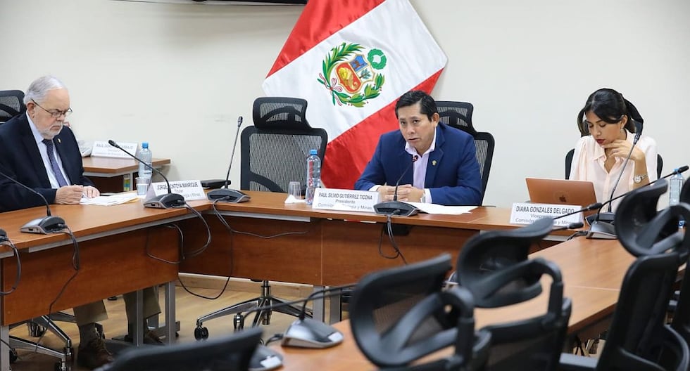 Ley de Mape: Energía y minas en opinión de la Asamblea que beneficia a la minería ilegal e informal | Reimfo | Paul Gutiérrez | Citado en el Ministro | | Citación

 – El diario andino