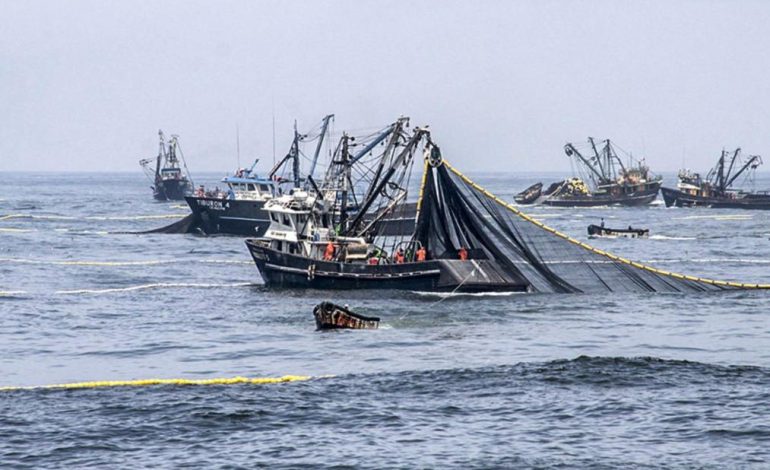 Alpescas rechaza los intentos de organizaciones no gubernamentales para una prohibición de pesca industrial