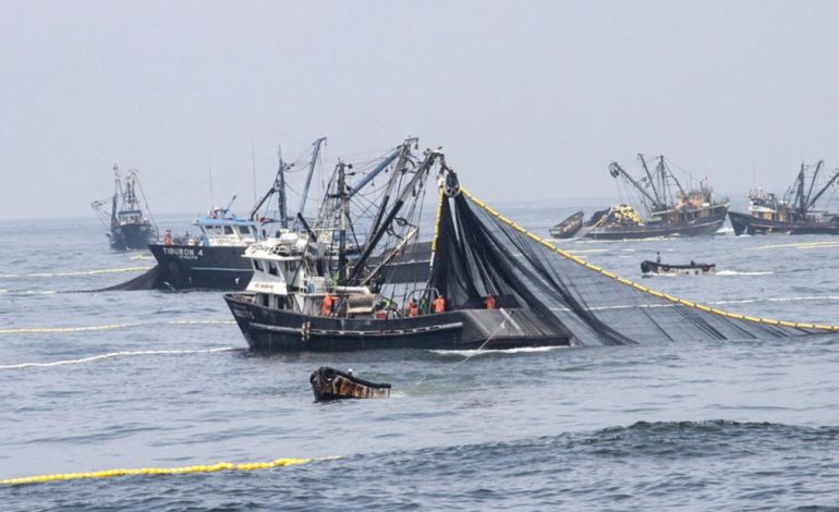 La pesca ver optimismo por dinamidad hasta 2025. Años