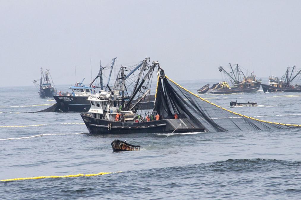 La pesca ver optimismo por dinamidad hasta 2025. Años