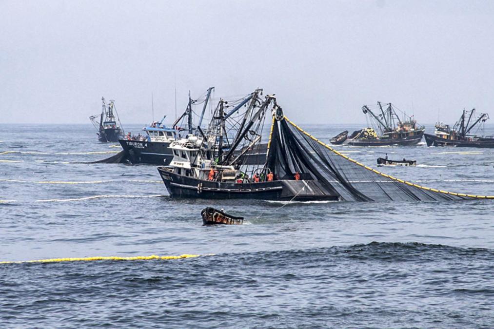 Alpescas rechaza los intentos de organizaciones no gubernamentales para una prohibición de pesca industrial