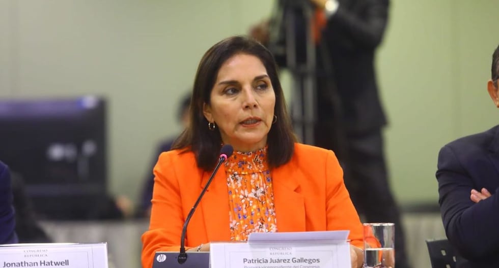 Congresista Patricia Juárez sobre Betsy Chávez: Lo que ha sido prioridad aquí es salvar a la izquierda | montaje | Pedro Castillo | lo último | POLÍTICA

 – El diario andino