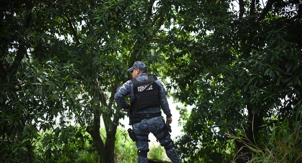 México: El asesinato de tres niñas y su madre causa conmoción en el estado de Sonora | Último | MUNDO

 – El diario andino