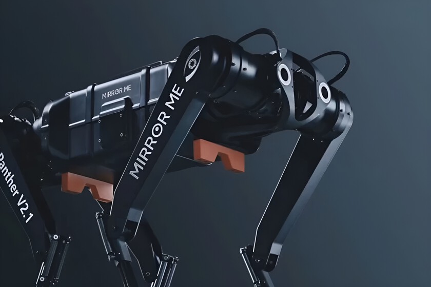 Una empresa china acaba de presentar un cuadrúpedo que desafía los límites. Boston Dynamics ya no tiene un camino claro

 – El diario andino
