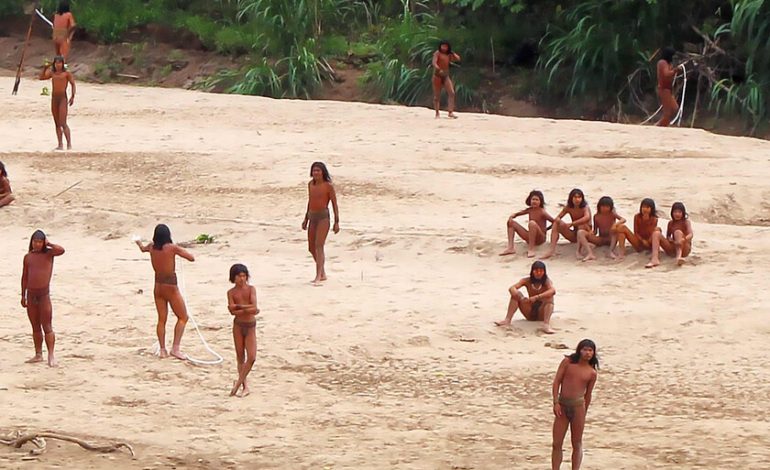 No es que estemos tallando demasiados árboles, es que la tribu Un Unpaort más grande del planeta está a punto de dejar de ser
– El diario andino