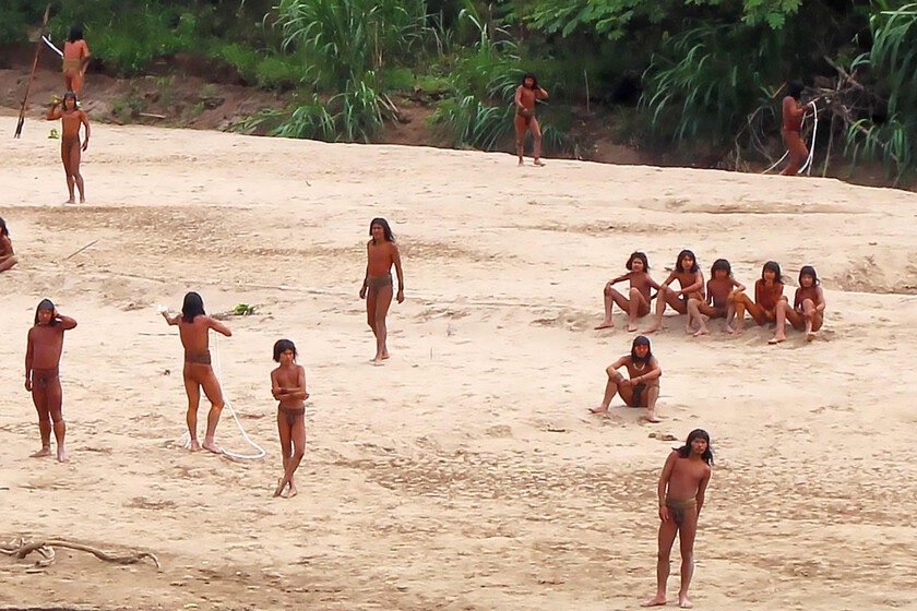 No es que estemos tallando demasiados árboles, es que la tribu Un Unpaort más grande del planeta está a punto de dejar de ser

 – El diario andino