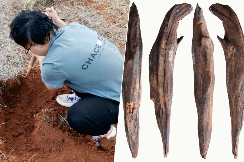 Hemos encontrado herramientas hace 300,000 años en China. Y pusieron piernas lo que creíamos en la paleodieta

 – El diario andino