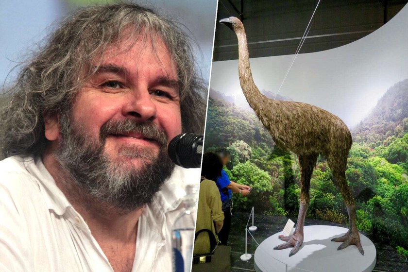 Después del lobo gigante, un enorme pájaro de Nueva Zelanda gana apunta a ser desixtinquida. Y Peter Jackson tiene mucho que hacer

 – El diario andino