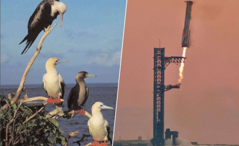 Estados Unidos y SpaceX querían revolucionar la entrega de armas en cualquier parte del mundo. Un pájaro tropical tenía otros planes

 – El diario andino