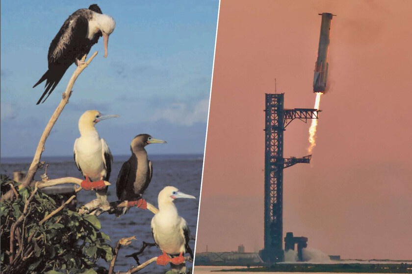 Estados Unidos y SpaceX querían revolucionar la entrega de armas en cualquier parte del mundo. Un pájaro tropical tenía otros planes

 – El diario andino