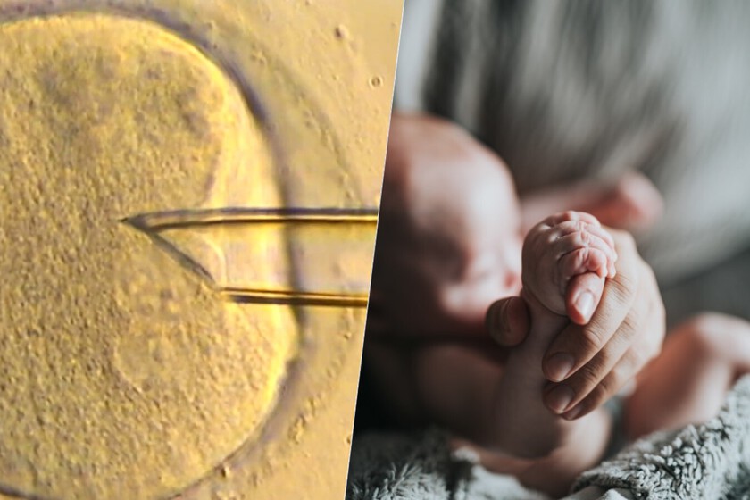 La fertilización ‘in vitro’ ha dado un paso sorprendente usando ADN mitocondrial

 – El diario andino