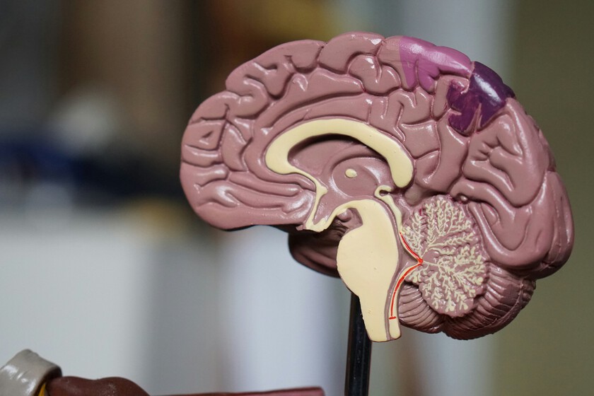 Es más eficiente aprender cómo funciona su cerebro

 – El diario andino