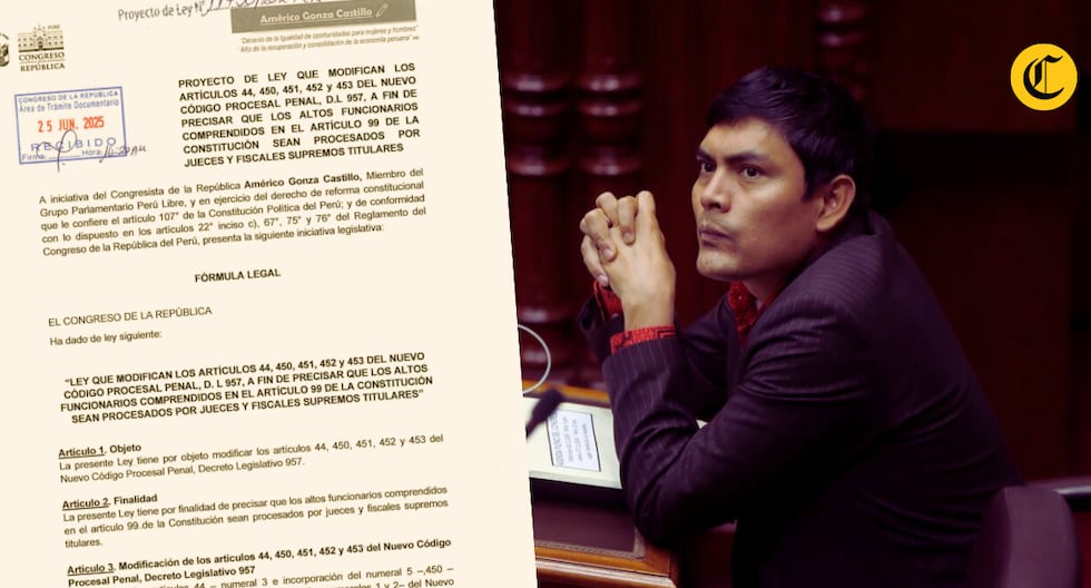 Lento y receta: una nueva propuesta gratuita para Perú busca impresión en los altos funcionarios | Américo Gonza | Vladimir Cerrón | Citación

 – El diario andino