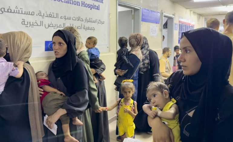 El Programa Mundial de Alimentos estima que 90 mil mujeres y niños en Gaza necesitan un tratamiento urgente debido a la desnutrición

 – El diario andino