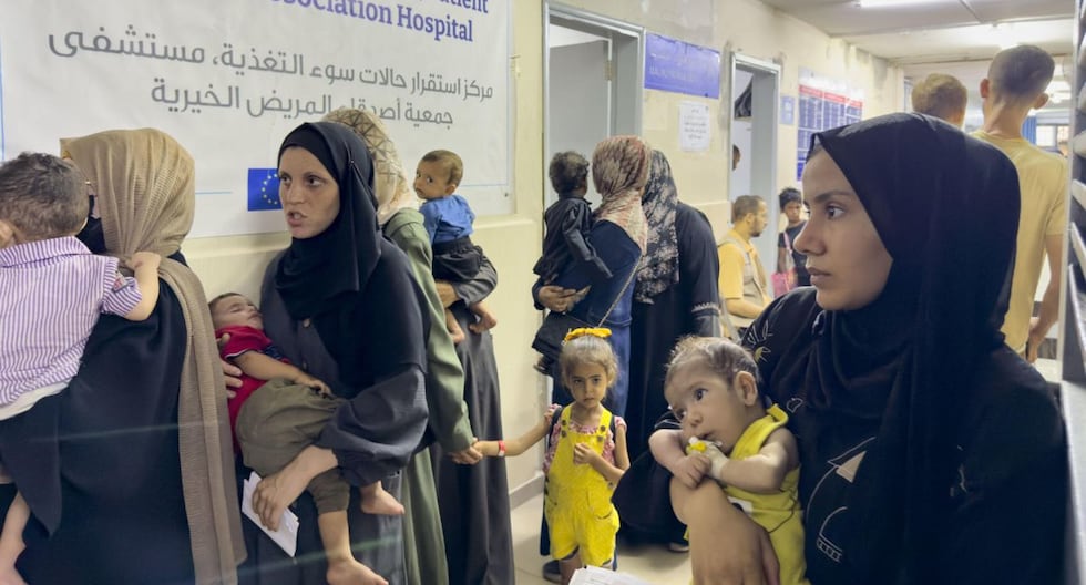 El Programa Mundial de Alimentos estima que 90 mil mujeres y niños en Gaza necesitan un tratamiento urgente debido a la desnutrición

 – El diario andino