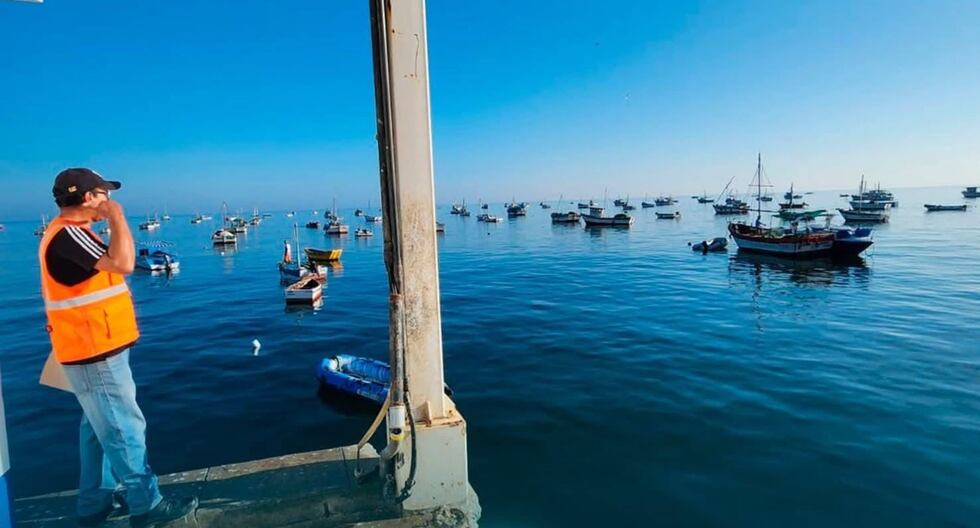 Alerta de tsunami: Marina Hydrography estima que las olas del tsunami alcanzarían hasta 2.31 metros en Talara | Último | PERÚ

 – El diario andino