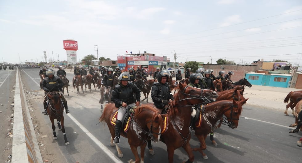 La historia de la decisión histórica del PJ que prohíbe el uso de caballos policiales en disturbios: lo que viene en el proceso policial montado en Ipalema | CAL

 – El diario andino