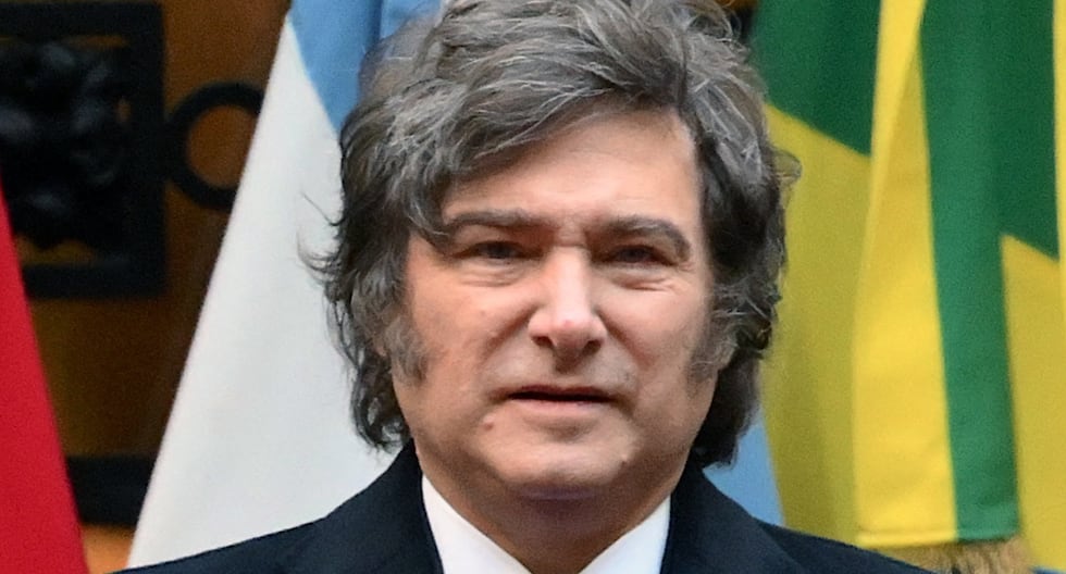Argentina: El gobierno de Javier Milei se disuelve o se transforma por decreto 101 organismos públicos en un año | Último | MUNDO

 – El diario andino