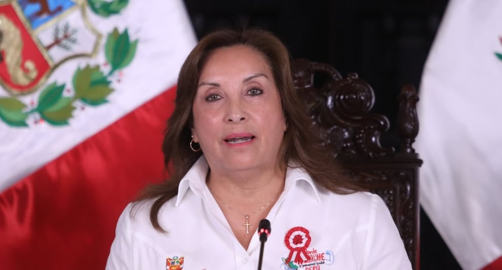 Dina Boluarte: El gobierno solo permitirá continuar con 31,500 mineros registrados en Reinfo | Último | Citación

 – El diario andino