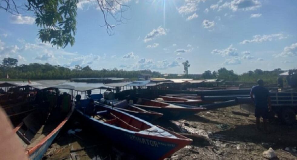 Alerta de Senamhi sobre riesgos debido al aumento significativo de la temperatura en la jungla peruana | Último | PERÚ

 – El diario andino