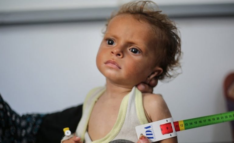 Israel Guerra – Hamás en Gaza | El primer ministro palestino condena la hambruna en la franja de Gaza: «Es absolutamente inaceptable» | Palestina | Mohamed Mustafá | Banco | Unrwa | Benjamin Netanyahu | Último | MUNDO
– El diario andino