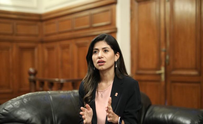 ENTREVISTA | Diana Gonzales: “Ha habido mucho cálculo político con la Ley Mape” | POLITICA – El diario andino