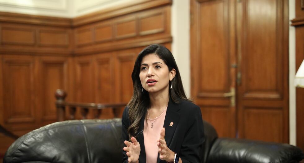 ENTREVISTA | Diana Gonzales: “Ha habido mucho cálculo político con la Ley Mape” | POLITICA – El diario andino