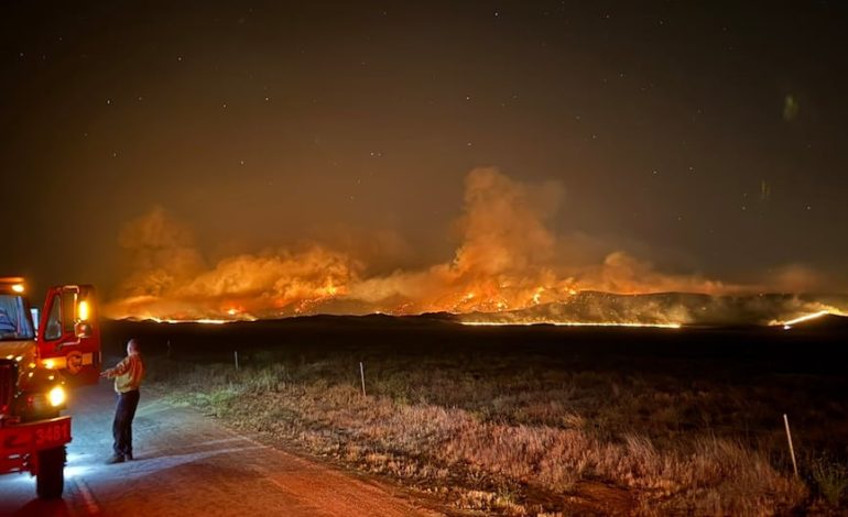 California combate el incendio forestal más grande del año en la costa oeste de los Estados Unidos | Madre | Los padres | San Luis Bishop | Los Ángeles | Donald Trump | Estados Unidos | Último | MUNDO
– El diario andino