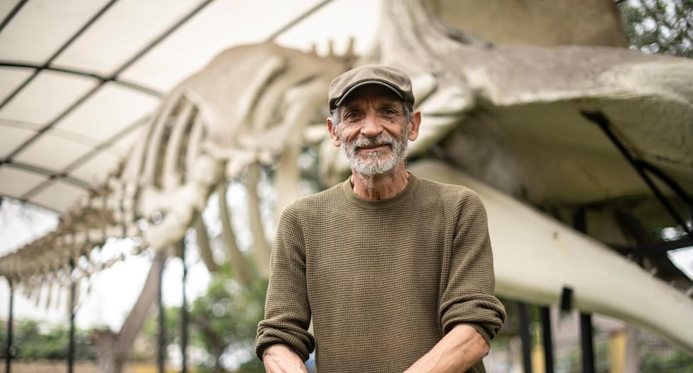 NASCA: encuentran al paleontólogo Mario Urbina y su equipo después de varias horas sin contacto | PERÚ

 – El diario andino