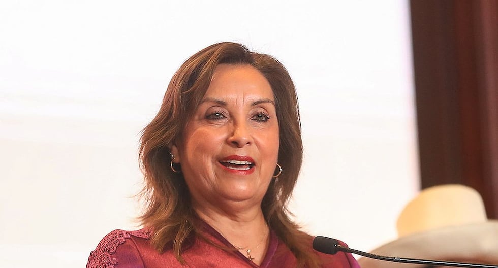 La abogada Dina Boluarte saluda una queja por el asesinato en el metro: «No hay forma de probar» | Citación

 – El diario andino