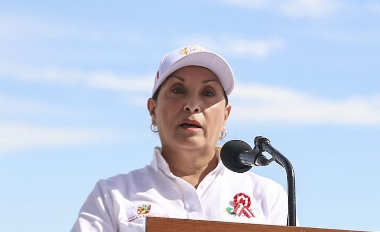 Dina Boluarte: Hay «pequeños grupos que son míos y sordos pero no estúpidos porque les gusta hablar con mentiras» | Citación

 – El diario andino
