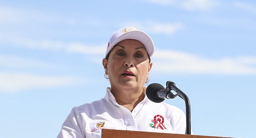 Dina Boluarte: Hay «pequeños grupos que son míos y sordos pero no estúpidos porque les gusta hablar con mentiras» | Citación

 – El diario andino