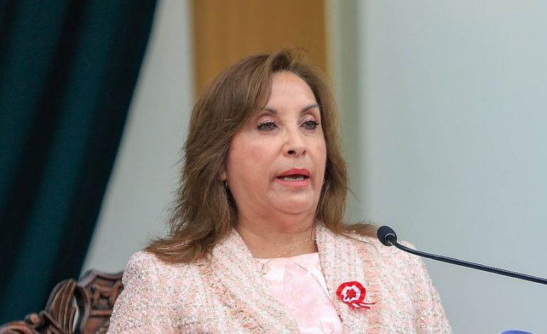 Dina Boluarte: «Ahora tienen la intención de infiltrarse en las agencias estatales y la sociedad para destruirnos desde el interior» | Citación
– El diario andino