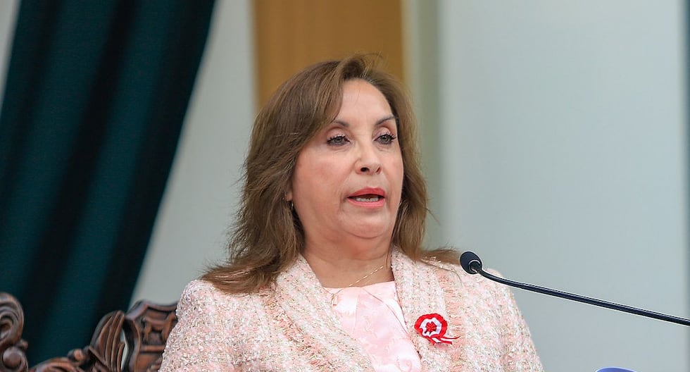 Dina Boluarte: «Ahora tienen la intención de infiltrarse en las agencias estatales y la sociedad para destruirnos desde el interior» | Citación

 – El diario andino