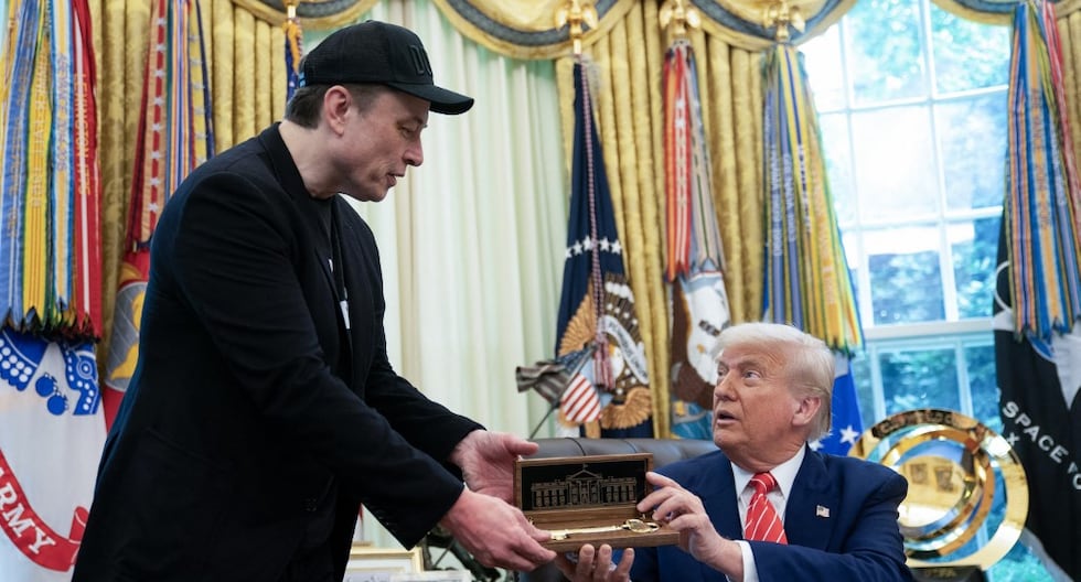 Donald Trump describe como «ridículo» que su exaliado Elon Musk creó un partido político en los Estados Unidos | America Party | Último | MUNDO

 – El diario andino