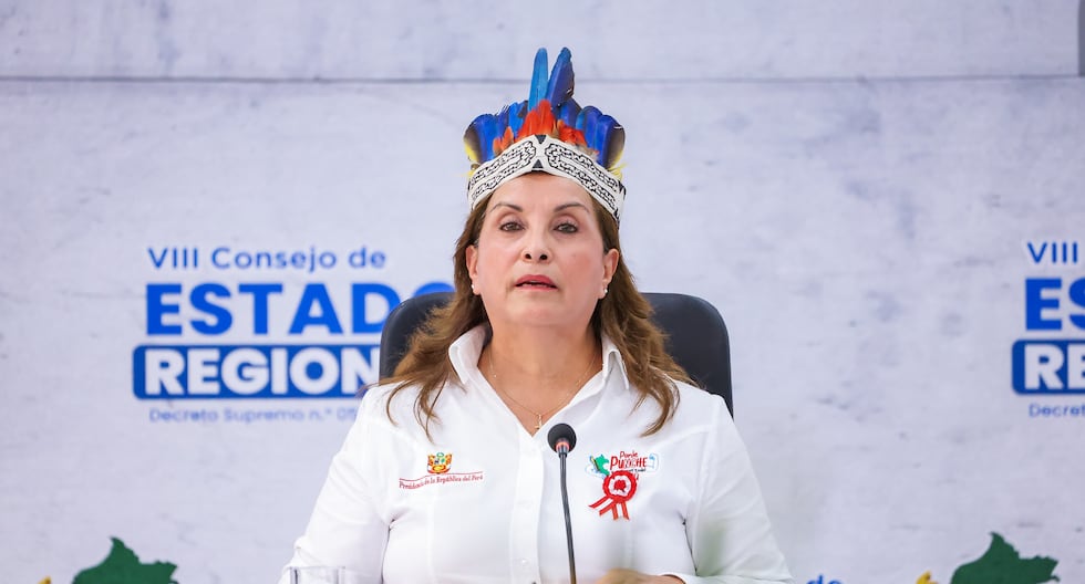 Dina Boluarte: No vamos a llevar a cabo ese programa político mientras usan a nuestras hermanas y hermanos para bloquear las carreteras o quemar el prado | Consejo de Estado Regional | Último | Citación

 – El diario andino