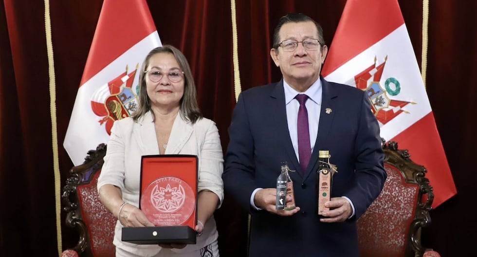 Congreso | Eduardo Sallehuana | Exponen que el Parlamento financió un viaje a París como amigo del gobierno | Citación

 – El diario andino