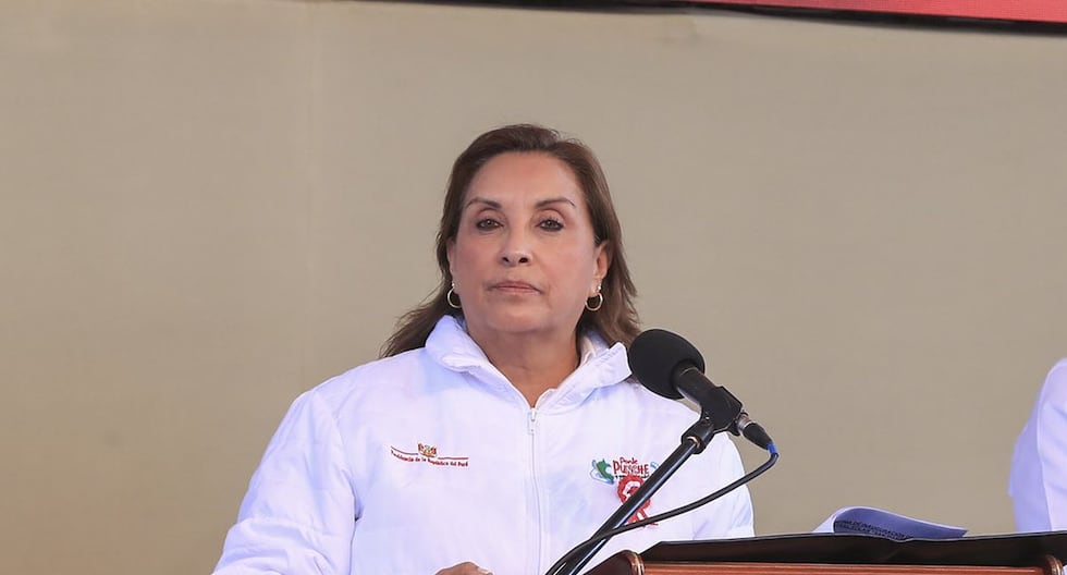 Dina Boluarte dice que el próximo presidente tendrá que pasar sus cinco años «a menos que esté comprometido con la corrupción» | Citación

 – El diario andino