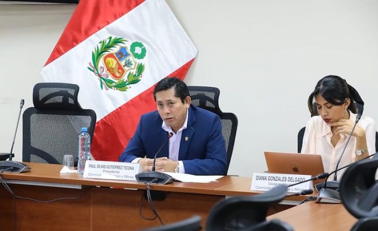 Cuatro ministros no van a apuntar al Comité de Energía y Estado para comentar sobre una propuesta para la Ley sobre la Ley de Corrección | Citación
– El diario andino