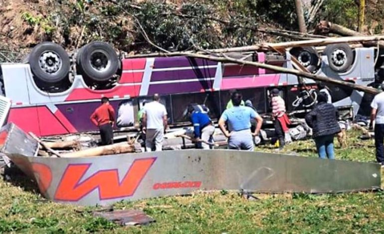 JUNÍN: Más de 15 muertes y 29 hojas heridas en autobús interprovincial en la ruta Tarma -Chachamayo | Último | PERÚ

 – El diario andino