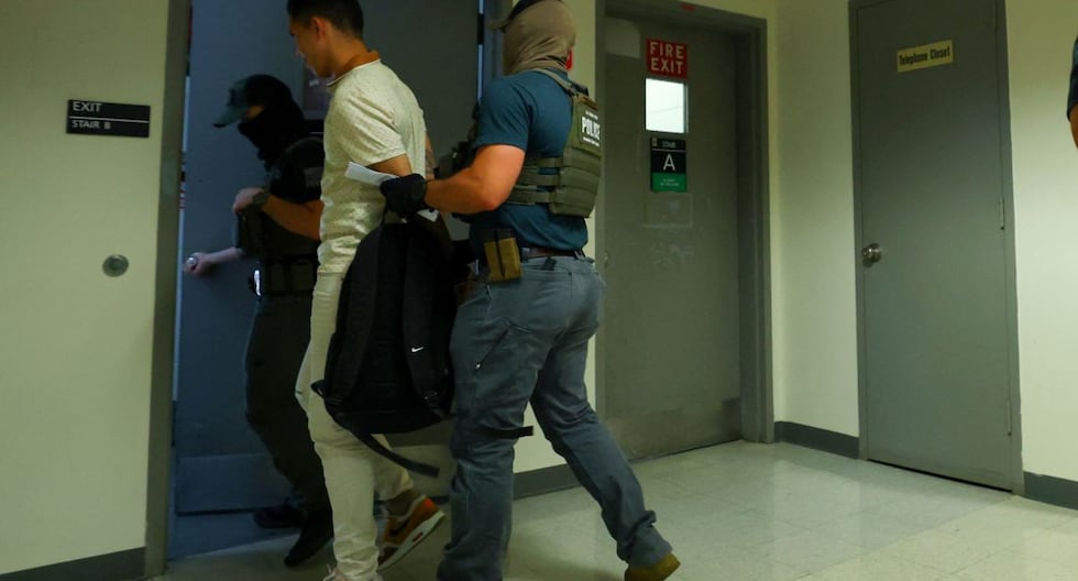 El gobierno de Donald Trump se jacta de que los arrestos de los inmigrantes «hayan disparado» al final | MUNDO

 – El diario andino