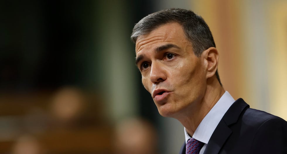 Pedro Sánchez propone un plan estatal para combatir la corrupción elaborada con la última OCDE | MUNDO

 – El diario andino